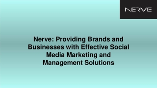 Nerve Providing Brands and Businesses with Effective Social Media Marketing and Management Solutions