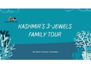 Family Tour to 3-Jewels of Kashmir