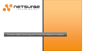 Web Design & Development Services - Netsurge
