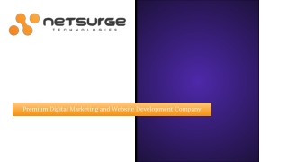 Digital Marketing Company - Netsurge