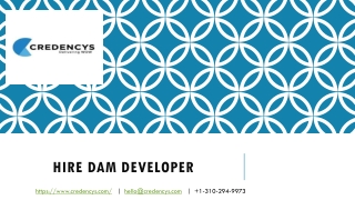 Hire DAM Developer