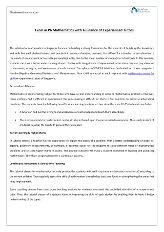 Excel in P6 Mathematics with Guidance of Experienced Tutors