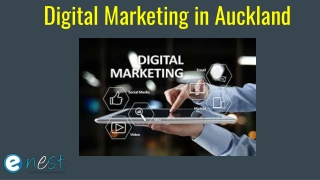 Digital Marketing in Auckland