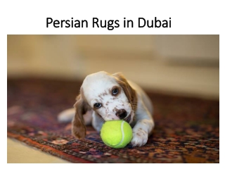 Persian Rugs in Dubai