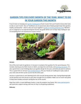 Garden Tips for Every Month of the Year | Treenewal