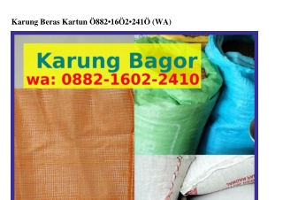 Karung Beras Kartun Ö882-l6Ö2-24lÖ(WA)