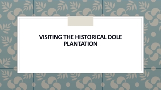 Visiting The Historical Dole Plantation