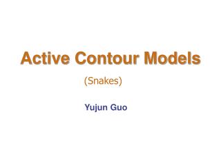 Active Contour Models
