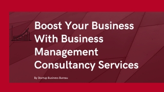 Perks Of Business Management Consultancy Services | Startup Business Bureau