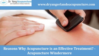 Acupuncture Windermere