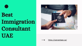 Best Immigration Consultant UAE - Canvantage - Business Consulting Company
