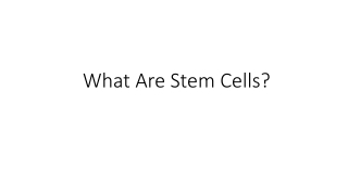 What Are Stem Cells?