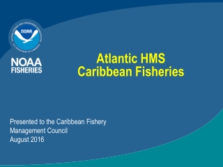 Atlantic HMS Caribbean Fisheries