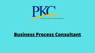 Business Process Consultant - PKCIndia