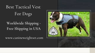 Best Tactical Vest For Dogs