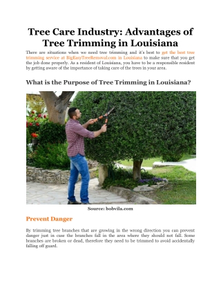 Tree Care Industry_ Advantages of Tree Trimming in Louisiana