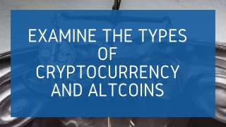 Study Different Types of Cryptocurrencies & Altcoins | XTEM