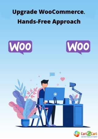 Upgrade WooCommerce. Hands-Free Approach