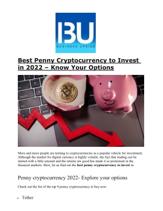 Best Penny Cryptocurrency to Invest in 2022 – Know Your Options