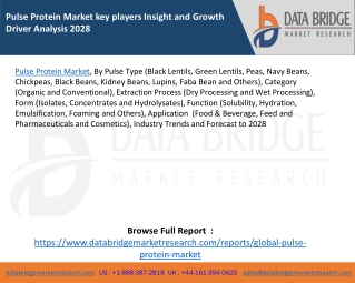 Pulse Protein Market key players Insight and Growth Driver Analysis 2028