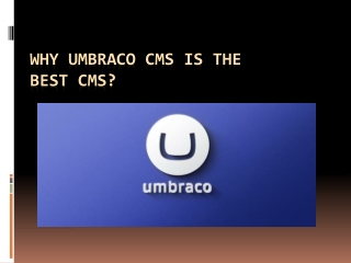 Why Umbraco CMS is the Best CMS