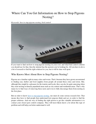 Where Can You Get Information on How to Stop Pigeons Nesting