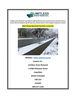 Best Snow Removal Services in Surrey