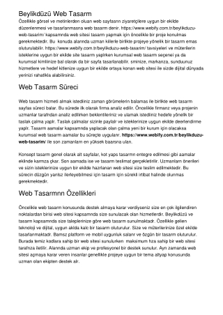 Beylikdüzü Web Tasarım