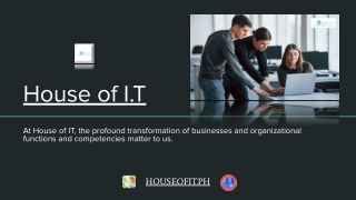 IT Consulting
