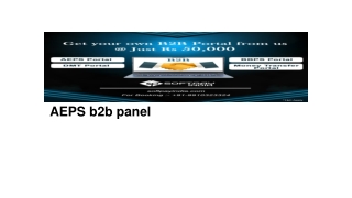 AEPS B2B panel