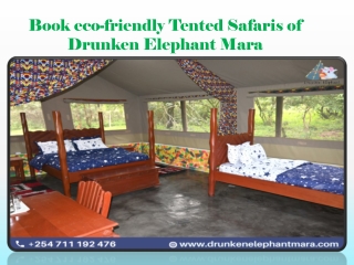 Book eco-friendly Tented Safaris of Drunken Elephant Mara