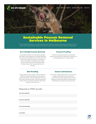 Melbourne Possum Removal Services