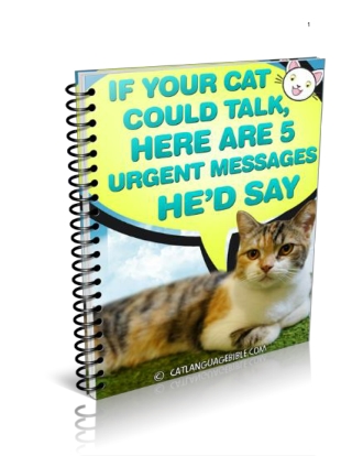 Most cats are smarter than human babies.