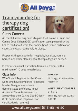 Therapy Dawg Prep - Train your dog for therapy dog certification!