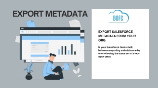 Export Salesforce Metadata From Your Org