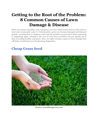 Getting to the Root of the Problem_ 8 Common Causes of Lawn Damage & Disease