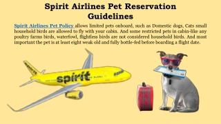 Spirit Airlines Pet Reservation Guidelines