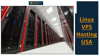 Linux VPS Hosting USA