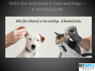 Otitis (Ear Infection) in Cats and Dogs —  A Detailed Guide | VetSupply