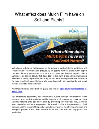 What effect does Mulch Film have on Soil and Plants_