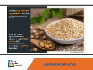 Soy Protein Ingredients Market