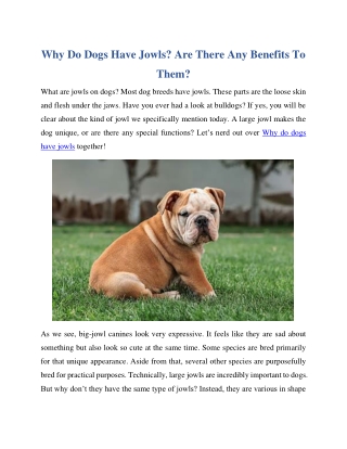 Why Do Dogs Have Jowls? Are There Any Benefits To Them?