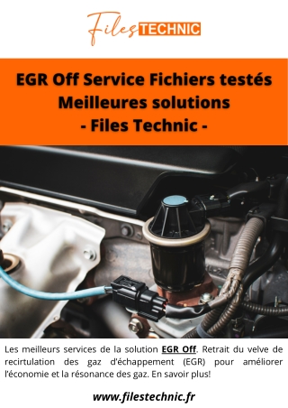 EGR Off Service Fichiers testés Meilleures solutions Files Technic