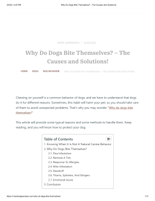 Why Do Dogs Bite Themselves  - The Causes and Solutions!