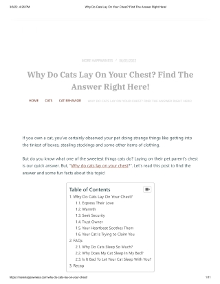 Why Do Cats Lay On Your Chest_ Find The Answer Right Here!