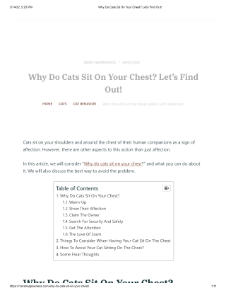 Why Do Cats Sit On Your Chest - Lets Find Out!