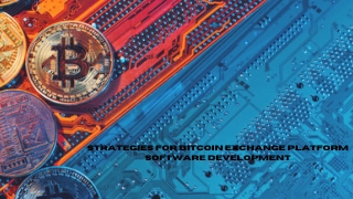 Strategies for Bitcoin exchange platform software development