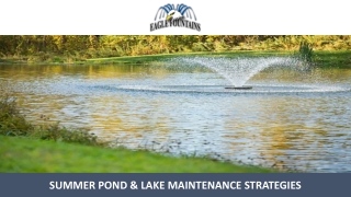 Summer Pond & Lake Maintenance Strategies