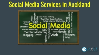Social Media Services in Auckland