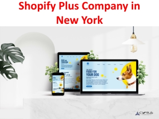 Shopify Plus Company in New York